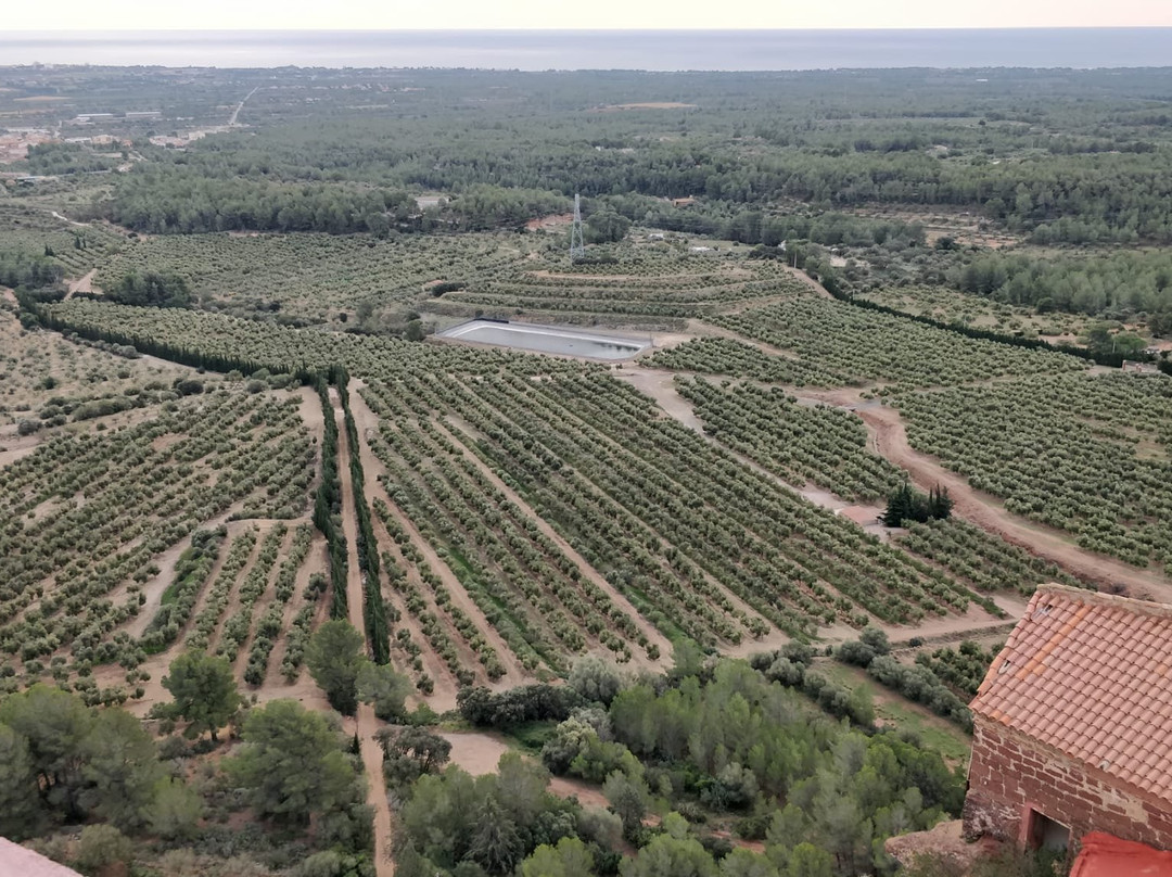 Buil & Giné-Falset必去景点