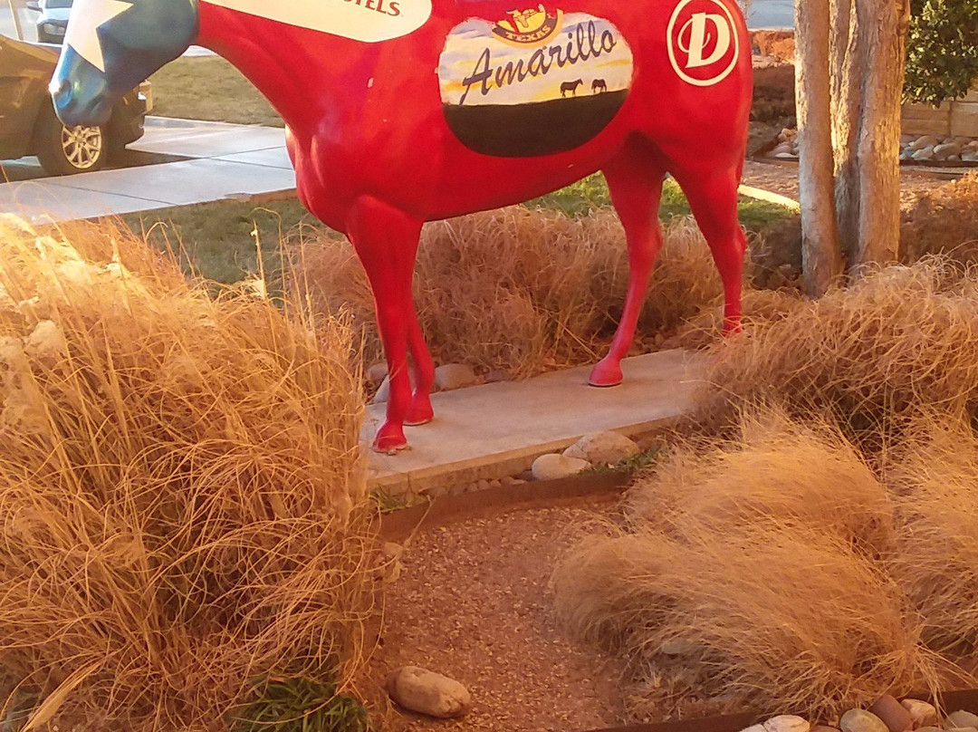 Drury Inn & Suites Amarillo主图