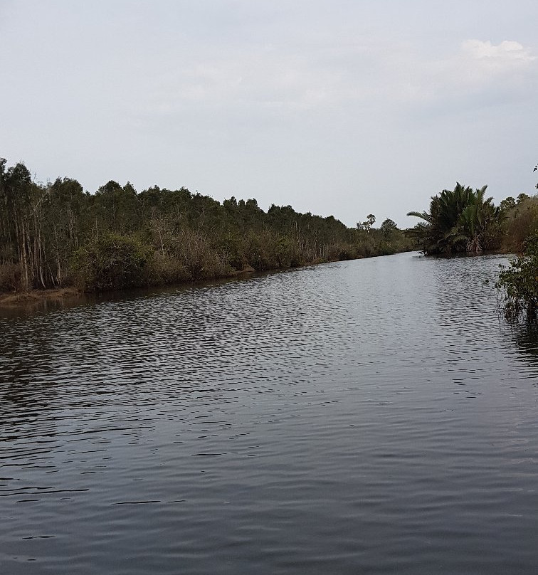 Way Kambas National Park-Lampung必去景点