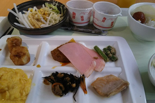 阿帕酒店（大垣-站前）主图