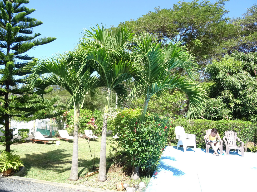 Villa Osumare Guest House主图