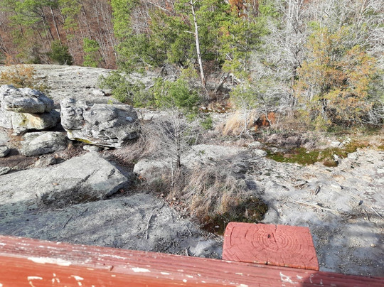 Panola Mountain State Park-Stockbridge必去景点