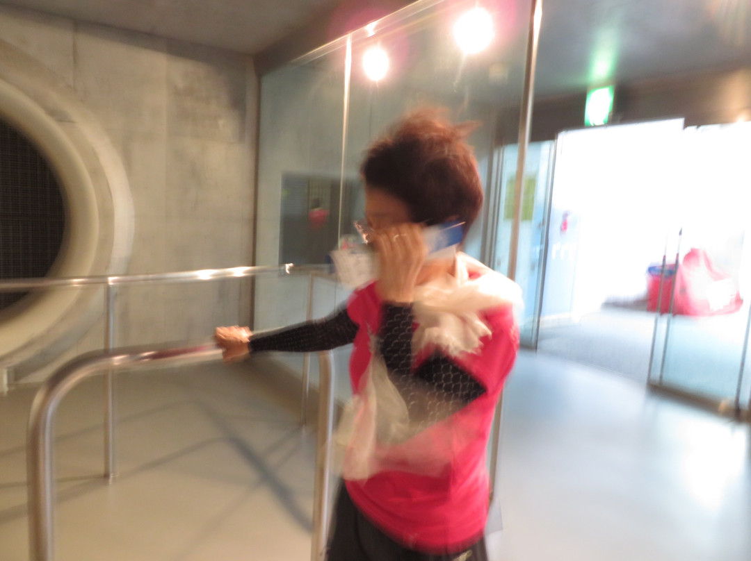 Cape Erimo Kaze no Yakata-襟裳町 必去景点