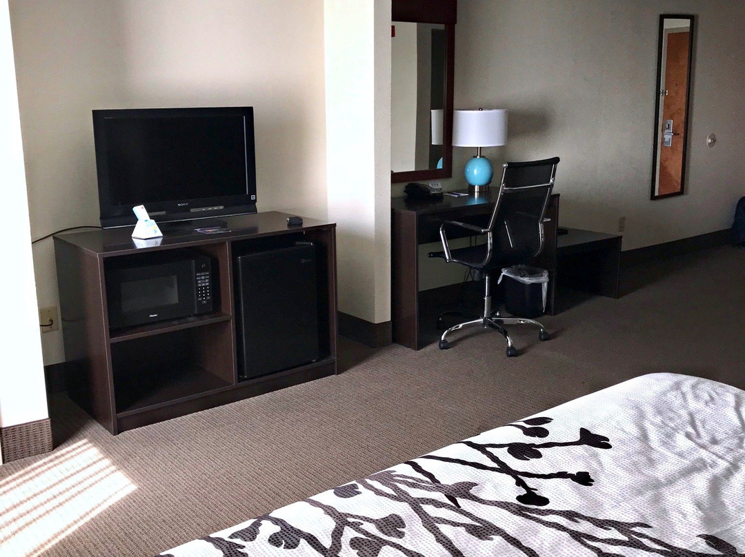 Sleep Inn & Suites Near Fort Gregg-Adams主图