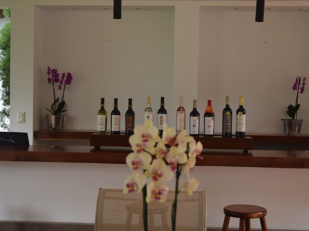 Bodega Aranjuez 1976-塔里哈必去景点