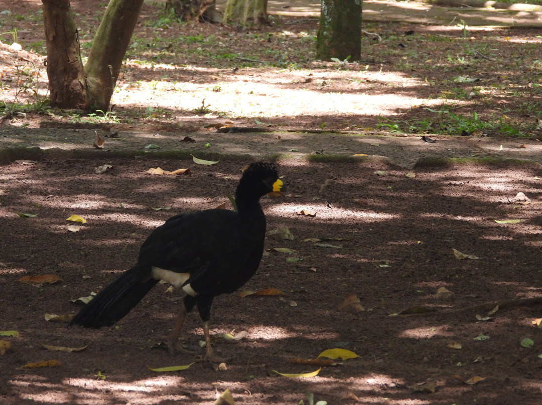 Parque Ecológico de São Carlos-Sao Carlos必去景点