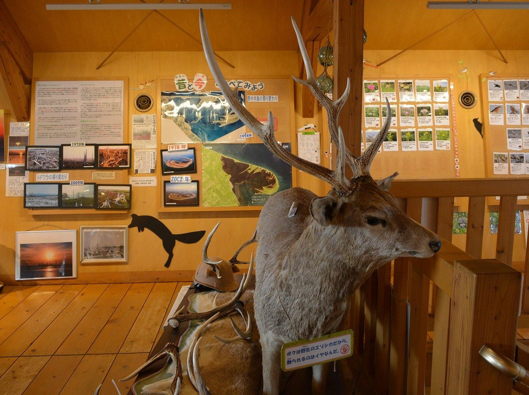 Notsuke Penninsula Nature Center-别海町必去景点