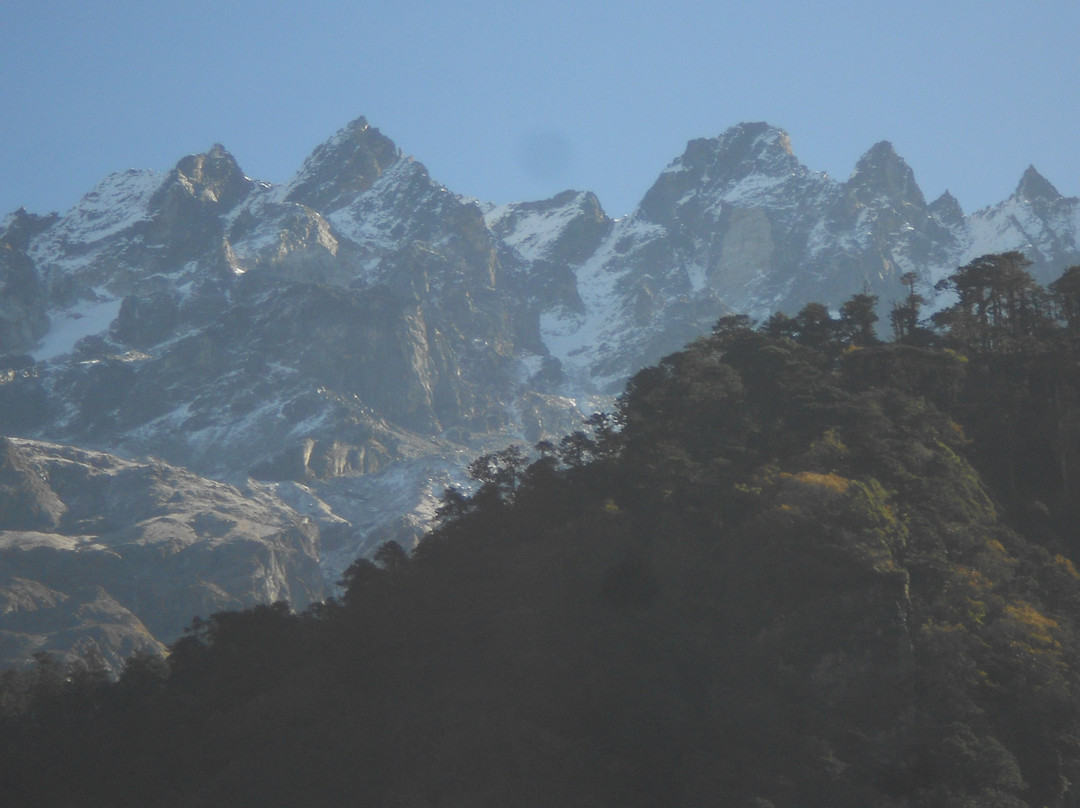 OYO 60097 Hill Hotel Lachung主图