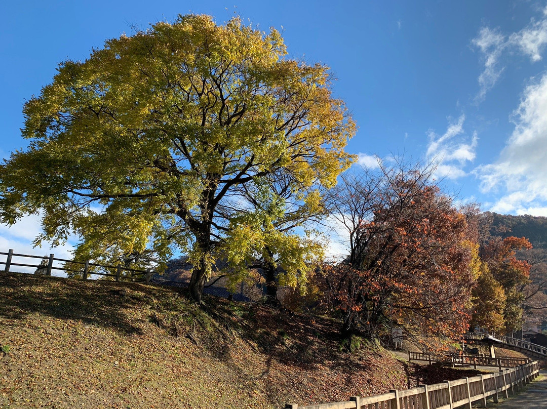 Takanashikan-ato Park-中野市必去景点