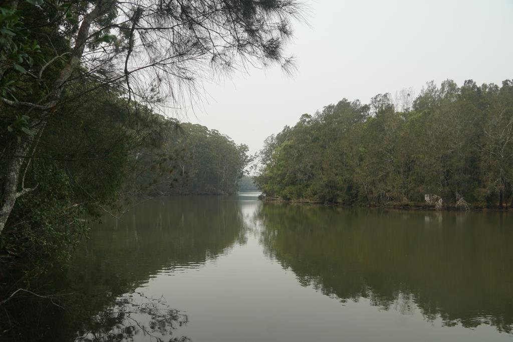 Bongil Bongil National Park景点图片