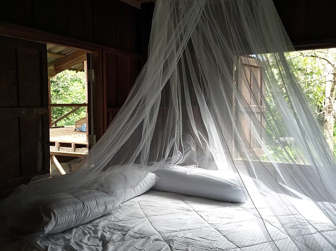 Mae Lan Kham Homestay主图