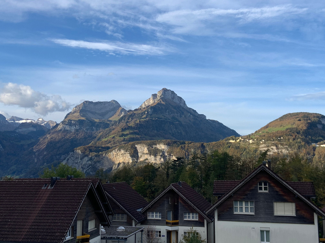 Swiss Holiday Park Leisure Park景点图片