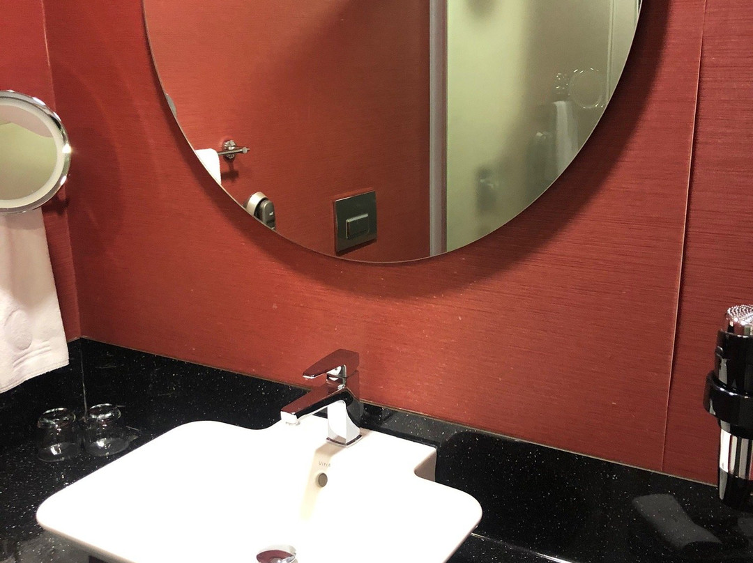 Ramada Plaza By Wyndham Eskişehir主图