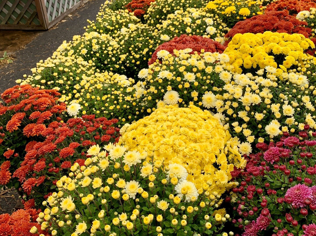 Ward's Berry Farm-Sharon必去景点