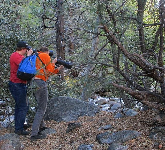 Grizzly Falls-红杉&国王峡谷国家公园必去景点
