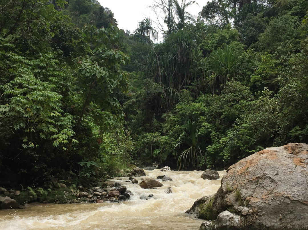 Ketambe Jungle Tour with Putra景点图片