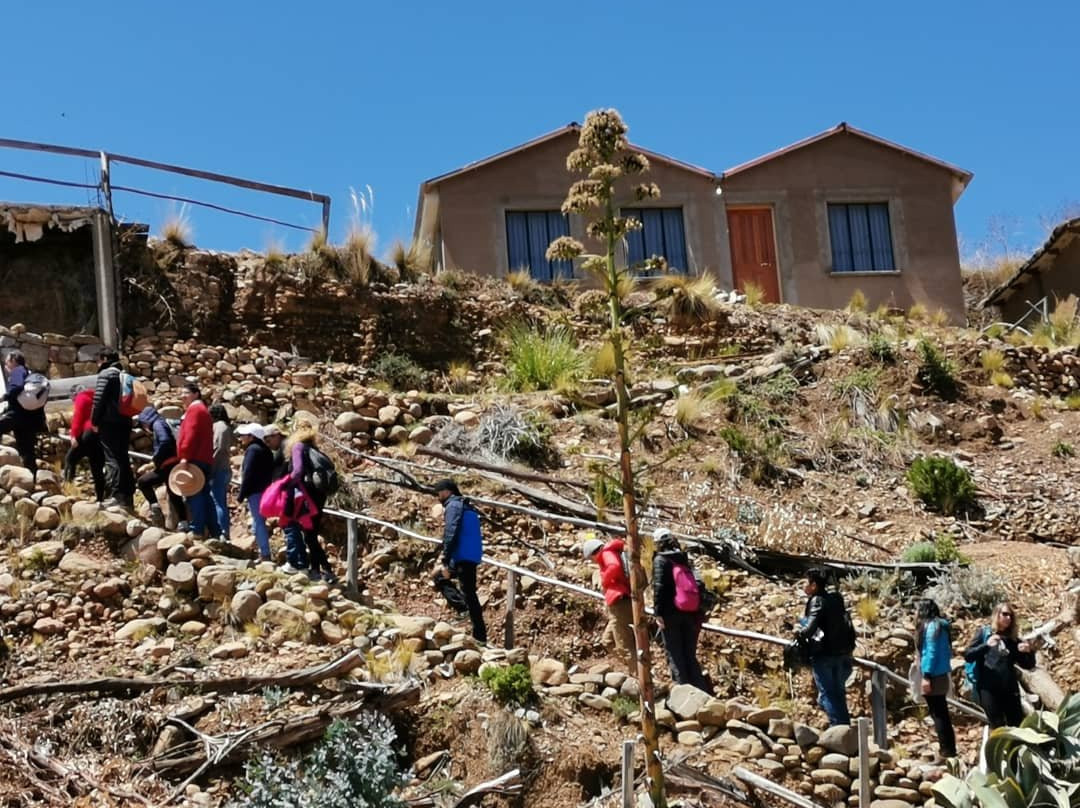 Hostal Qhana Pacha主图