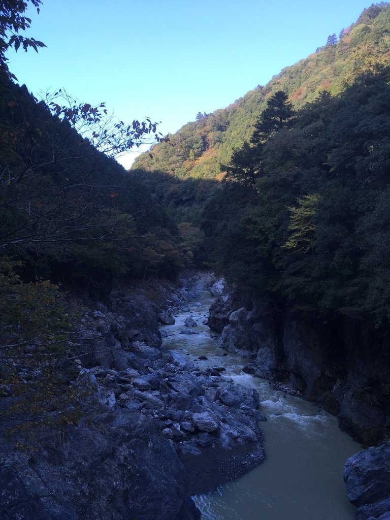 鸠之巢庄国民宿舍-官方