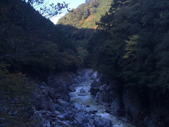 鸠之巢庄国民宿舍主图