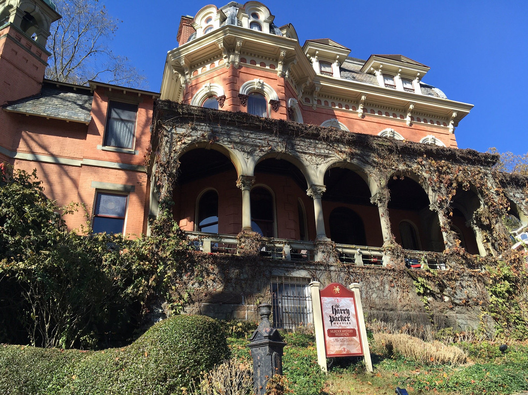 Harry Packer Mansion Inn主图