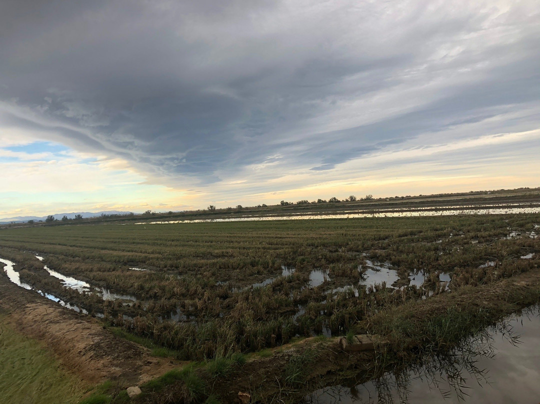 Parc Natural del Delta de l'Ebre-加泰罗尼亚必去景点