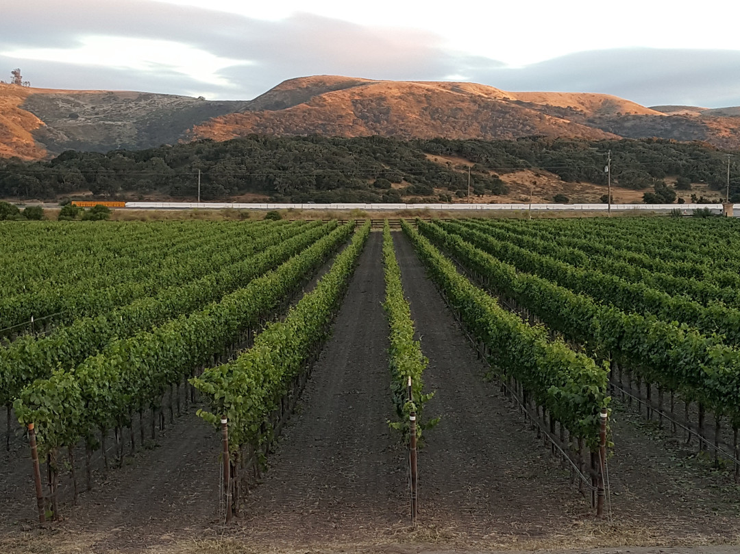 Kessler-Haak Wines-隆波克必去景点