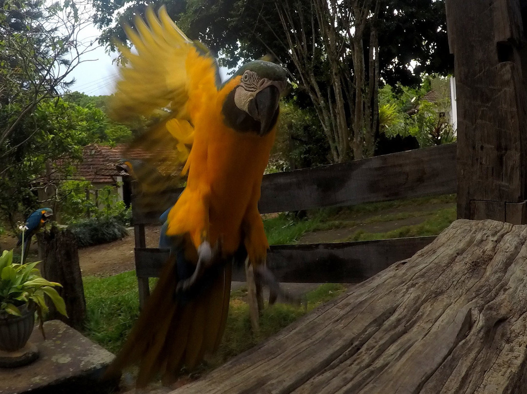 Fazenda Resgatinho-Bananal必去景点