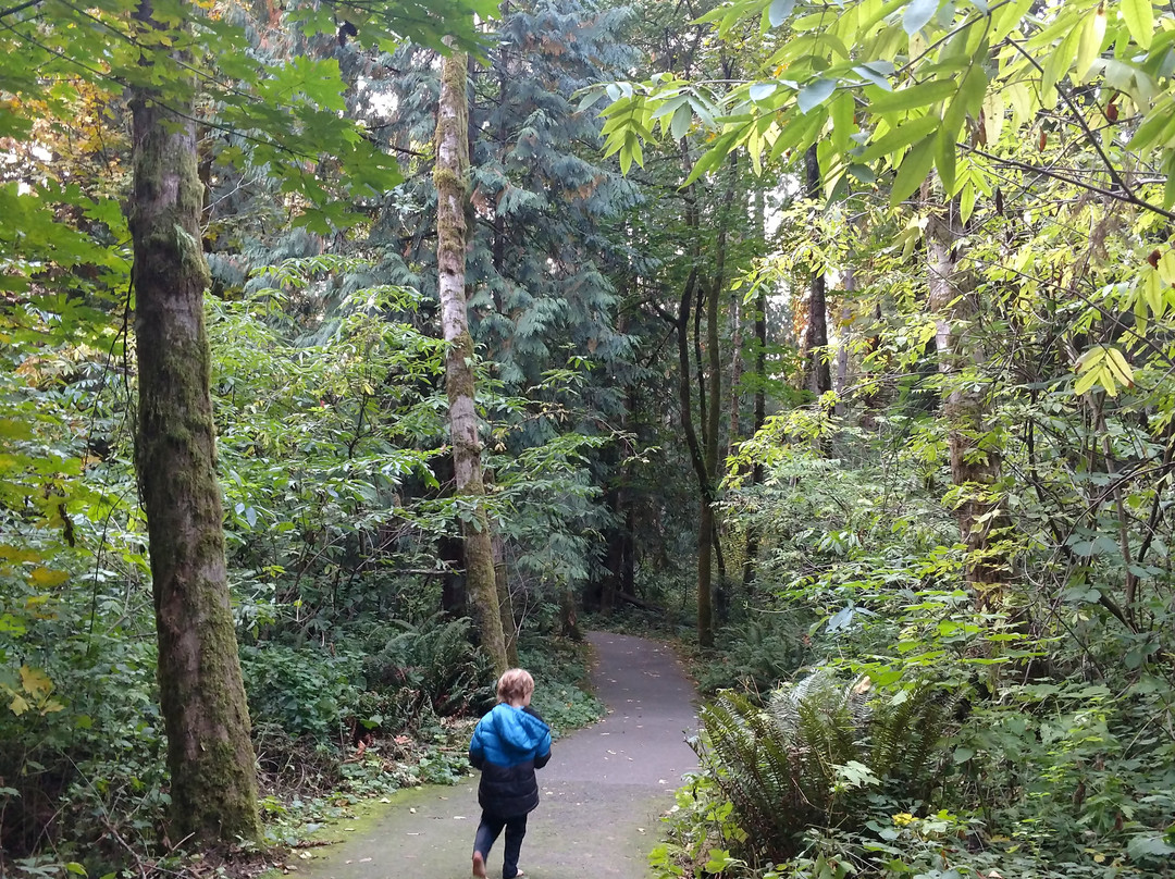 比弗顿旅游攻略图片