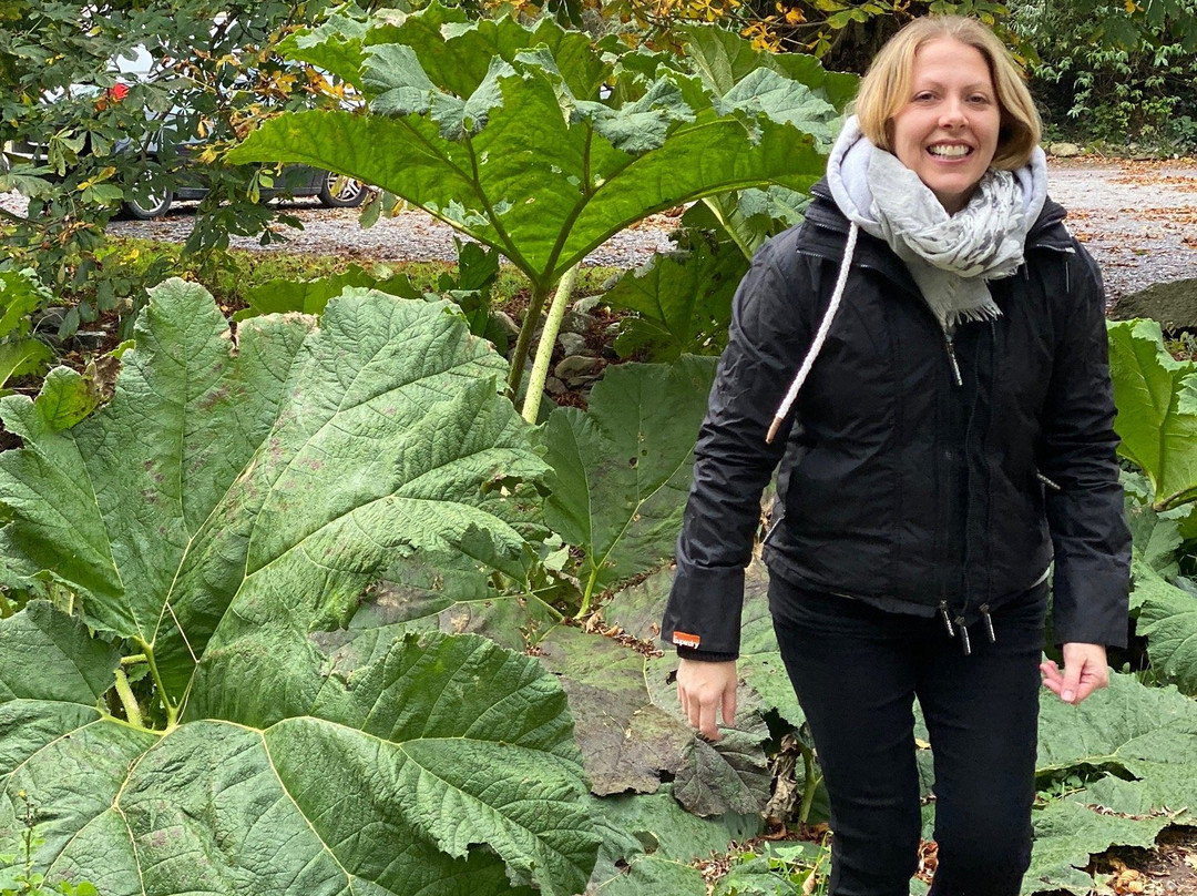 精选塞奥特庄园酒店主图