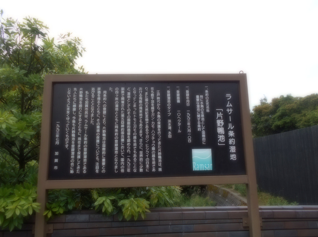 Kamoike Observation Center-加贺市必去景点
