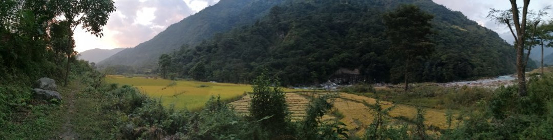 Roshani Guest House & Restaurant主图