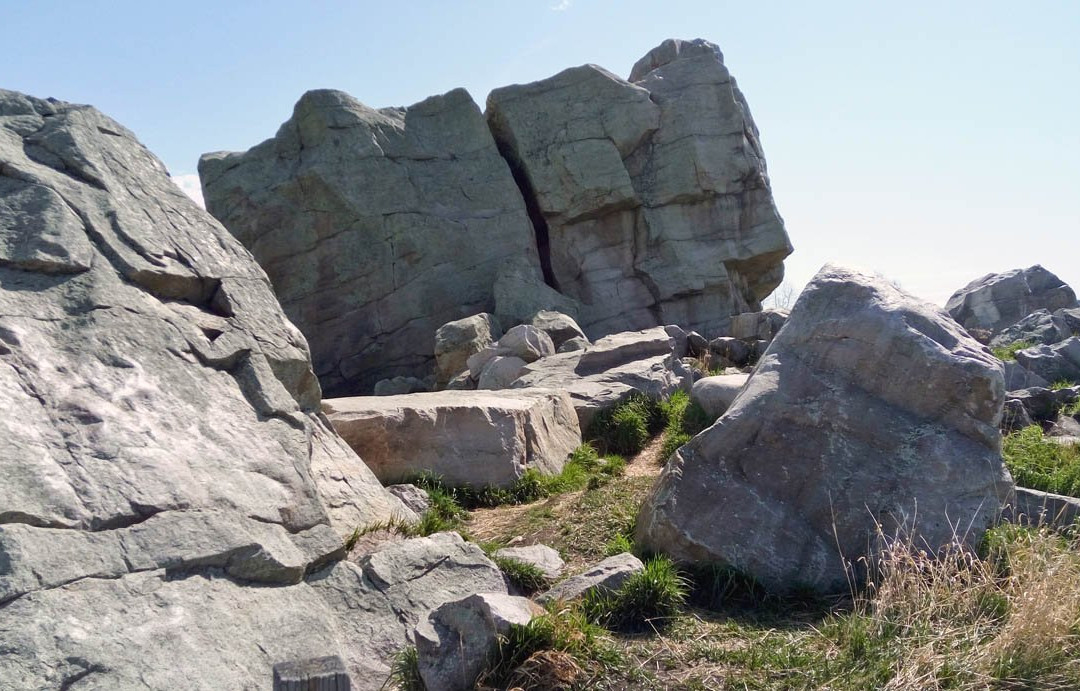 Okotoks Erratic - The Big Rock景点图片