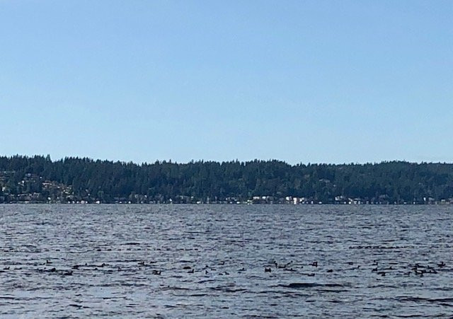 Lake Sammamish State Park景点图片