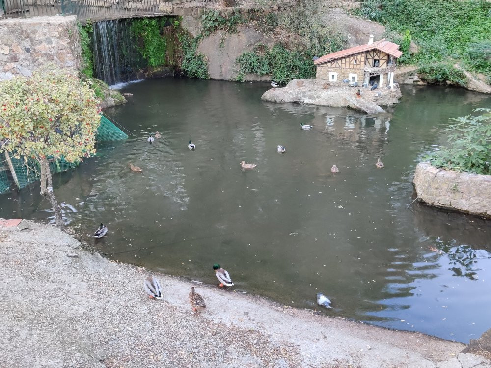 Parque de los Pinos景点图片