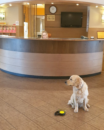 欧罗巴集团主图