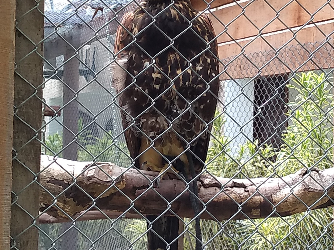 Pousada Sol e Mar主图