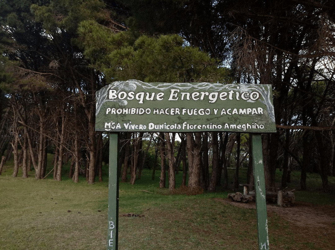 Bosque Energetico景点图片