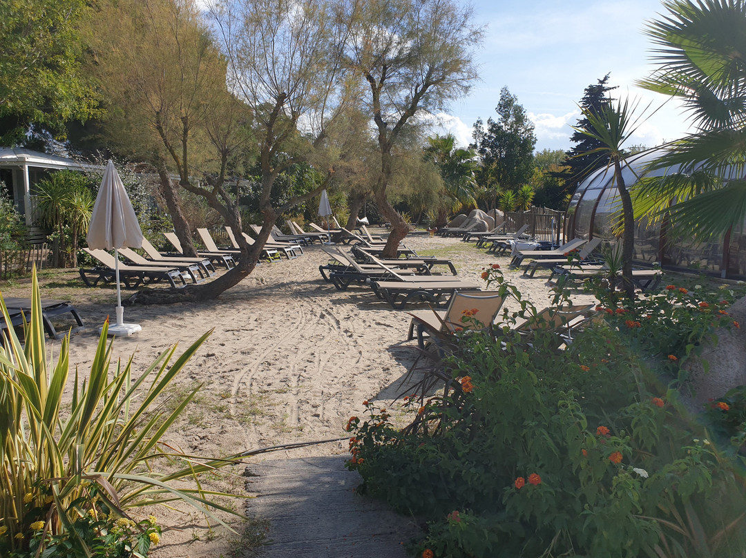 Camping Yelloh! Village Les Petits Camarguais主图