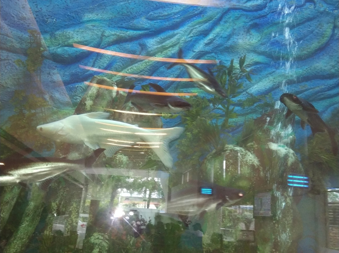 瑜伽行政酒店主图