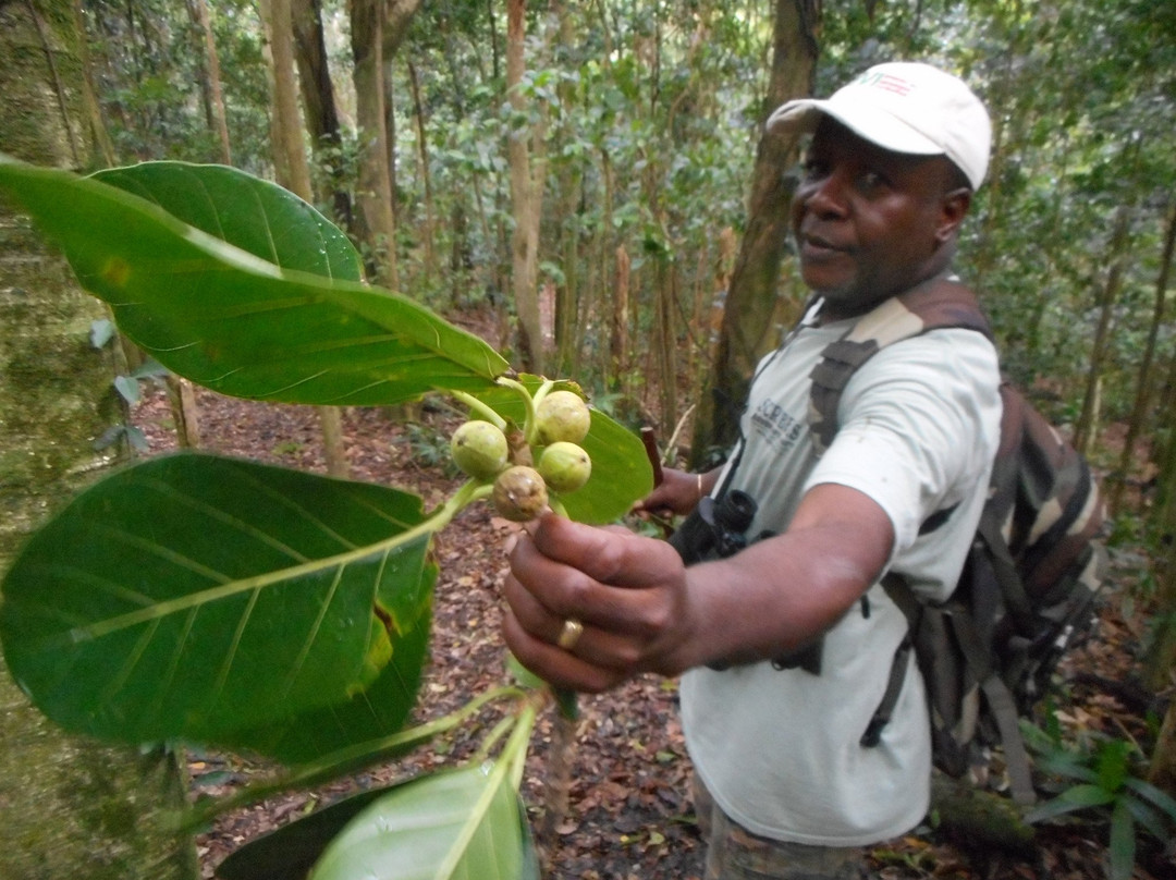 Scriber's Adventure Tours-Little Bay必去景点