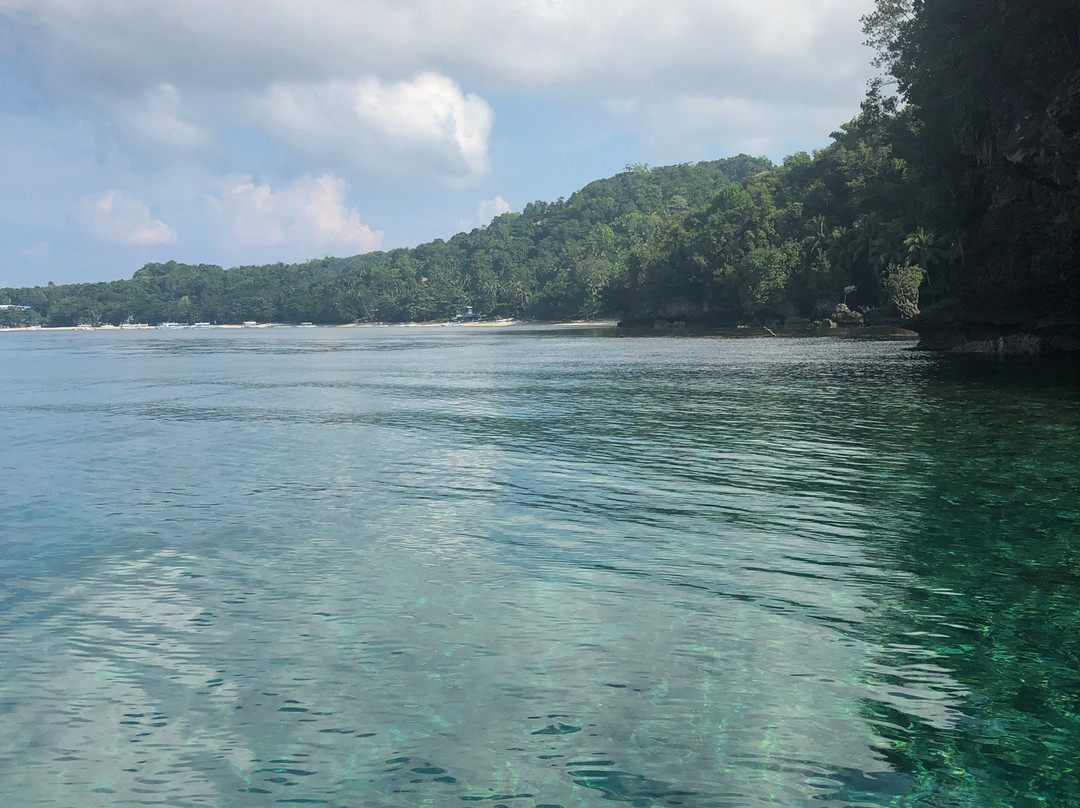 艺术潜水度假村主图