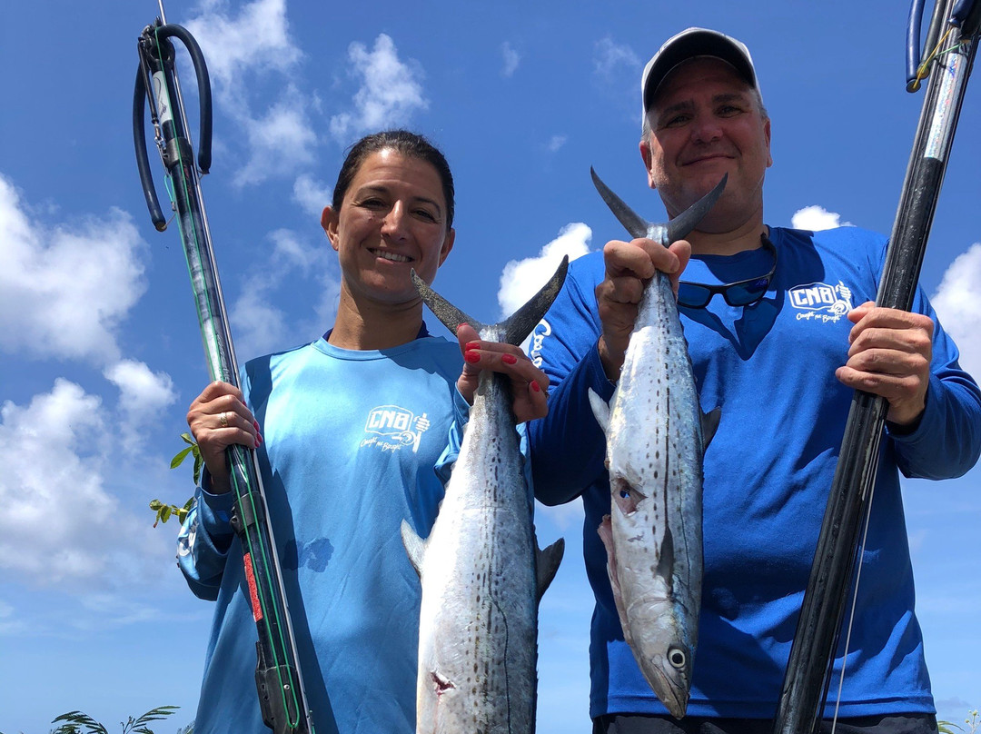 Spearfishing Barbados-巴巴多斯必去景点