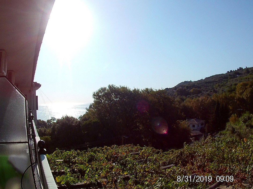 Hotel Agnadi-Horefto主图