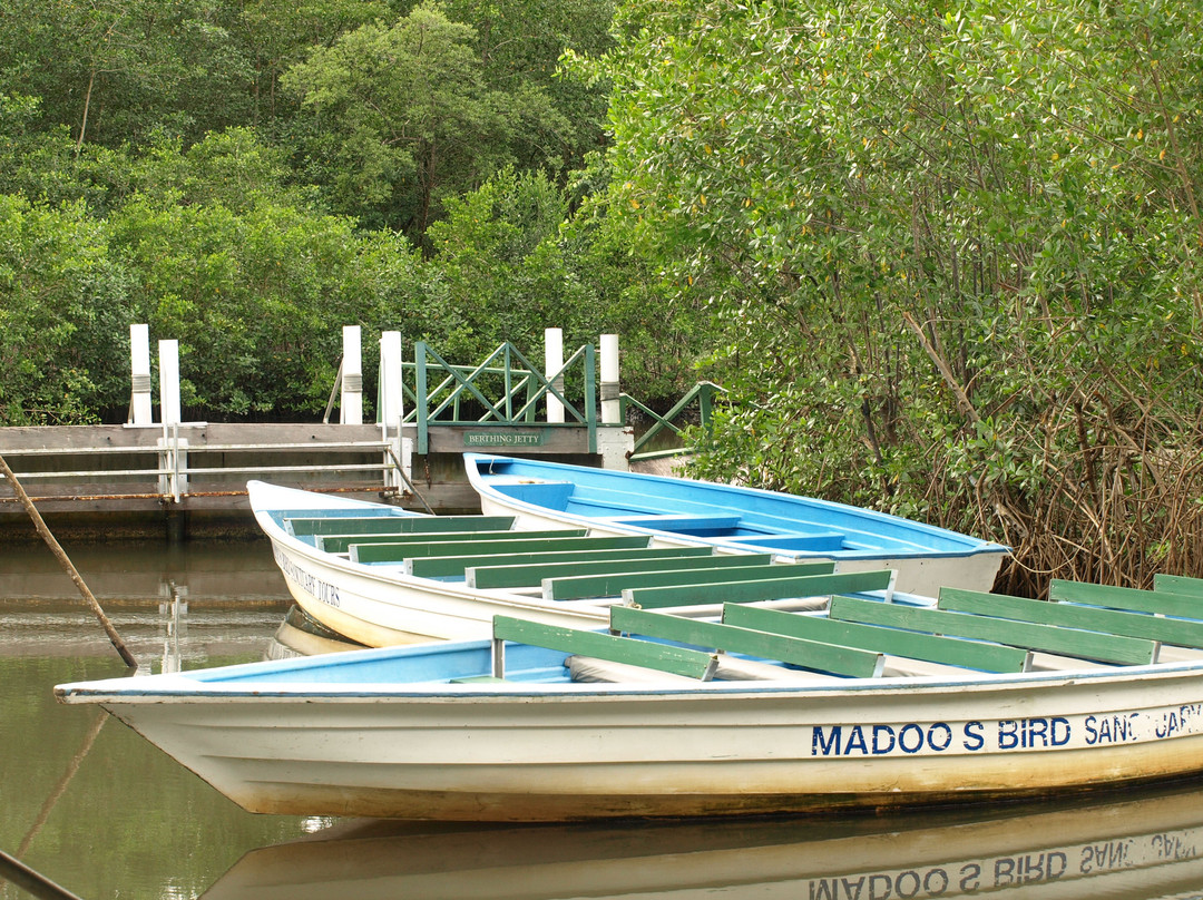Madoo Bird Tours-Caroni必去景点