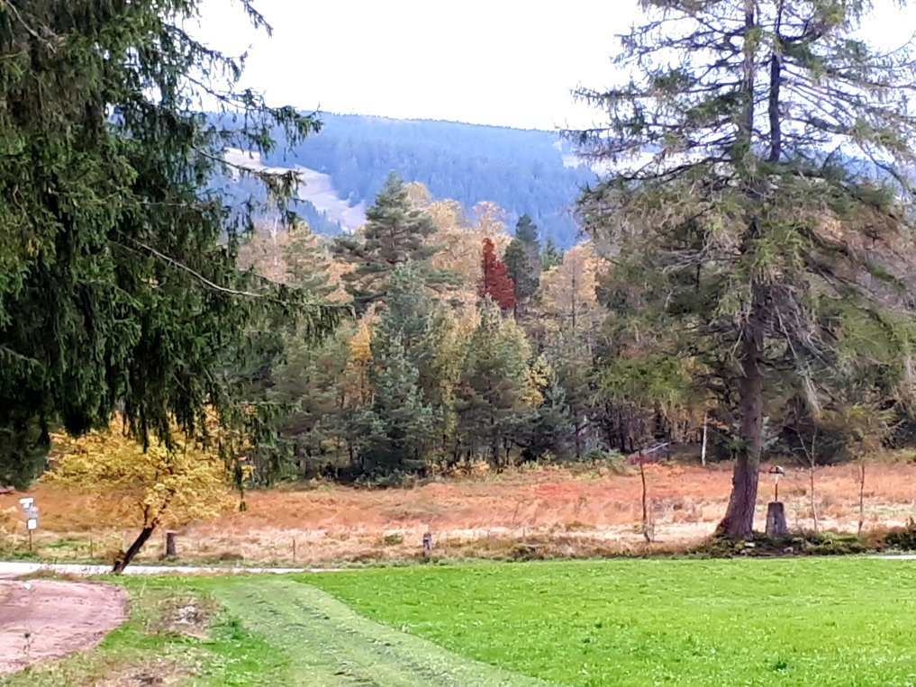 Berghotel Schiller主图