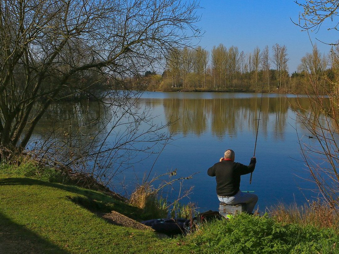 Balderton Lake景点图片