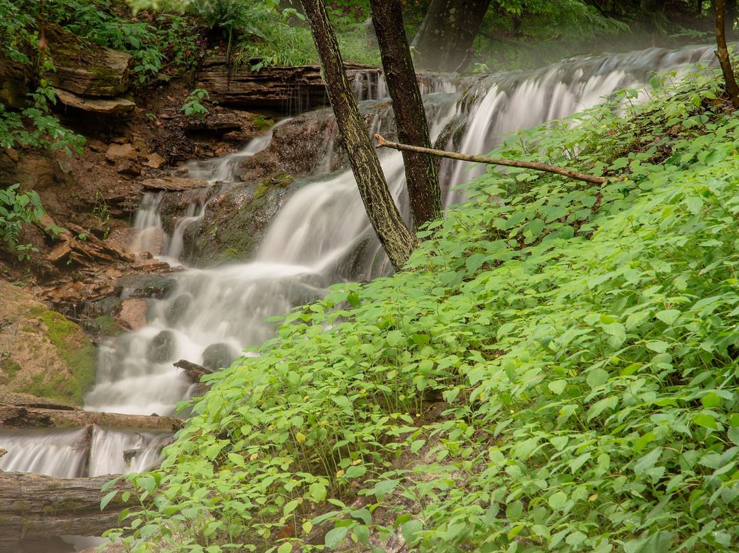 Weavers Creek Falls景点图片