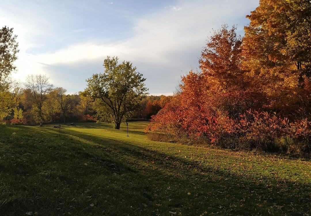 Glen Haffy Conservation Park-卡利登必去景点