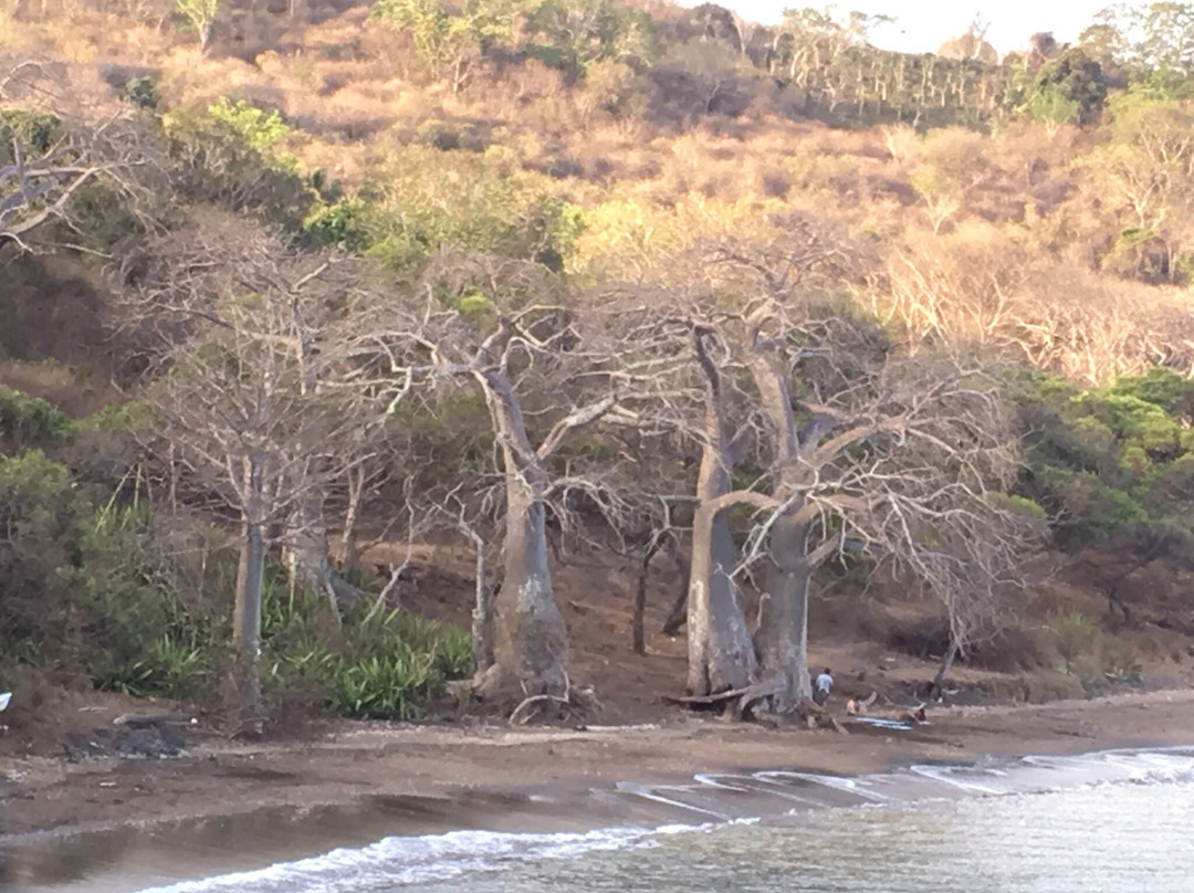Plage de Sakouli-Bandrelé必去景点