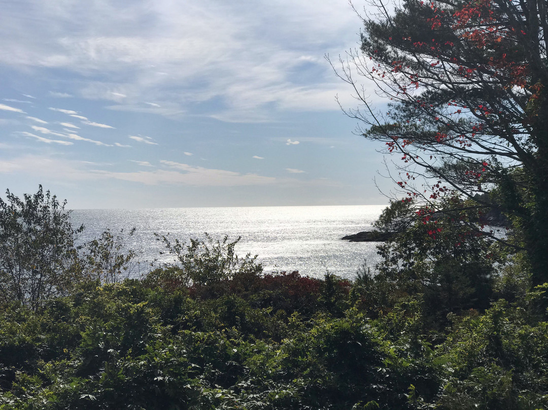 The Mooring Bed and Breakfast主图